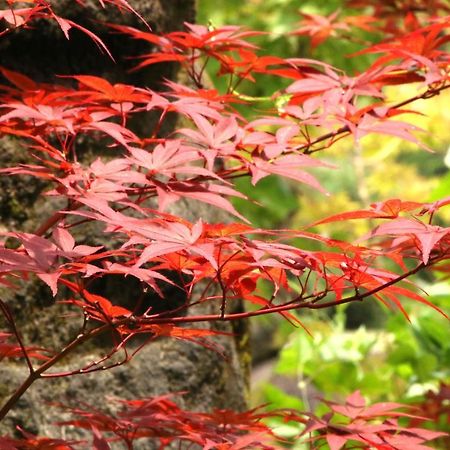 Usuki Yunosato Hotel Saiki Zewnętrze zdjęcie