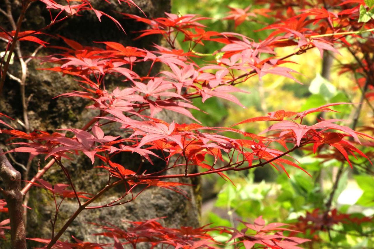 Usuki Yunosato Hotel Saiki Zewnętrze zdjęcie